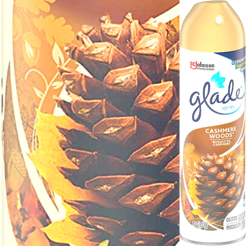 Glade Air Freshener Cashmere Woods Room Spray, 8 Oz as low as $0.54 After Coupon (Reg. $3) + Free Shipping!