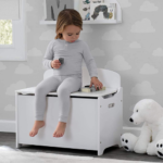 Deluxe Toy Box w/ Slow Closing Lid $40 Shipped Free (Reg. $60) – 6 Color Options – Put away the clutter