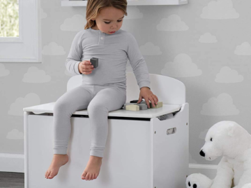 Deluxe Toy Box w/ Slow Closing Lid $40 Shipped Free (Reg. $60) – 6 Color Options – Put away the clutter