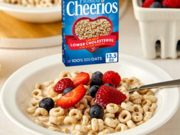 FOUR Boxes Cheerios Frosted Breakfast Cereal, Frosted Cheerios, 13.5 oz as low as $2.53 EACH After Coupon (Reg. $6.14) + Free Shipping – Gluten-Free + Buy 4, save 5%