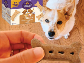 Old Mother Hubbard P-Nuttier Crunchy Dog Treats 6-Pound Box as low as $10.07 After Coupon (Reg. $20) + Free Shipping!