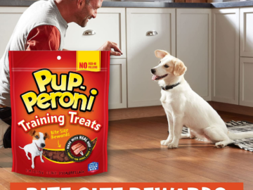 8-Pack Pup-Peroni Original Beef Flavor Training Treats Dog Snacks as low as $19.68 After Coupon (Reg. $26.94) + Free Shipping – $2.46/pouch!