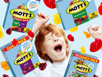 Save 20% on Mott’s Fruit Snacks from $3.98 After Coupon (Reg. $5+) – Gluten Free