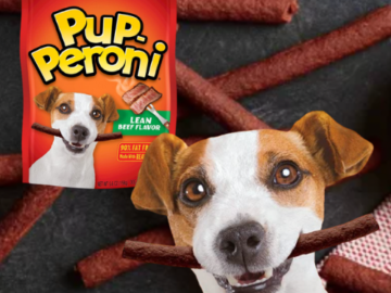 8-Pack Pup-Peroni Original Lean Beef Flavor Dog Snacks, 5.6-Oz as low as $19.68 After Coupon (Reg. $26.32) + Free Shipping – $2.48/Pouch