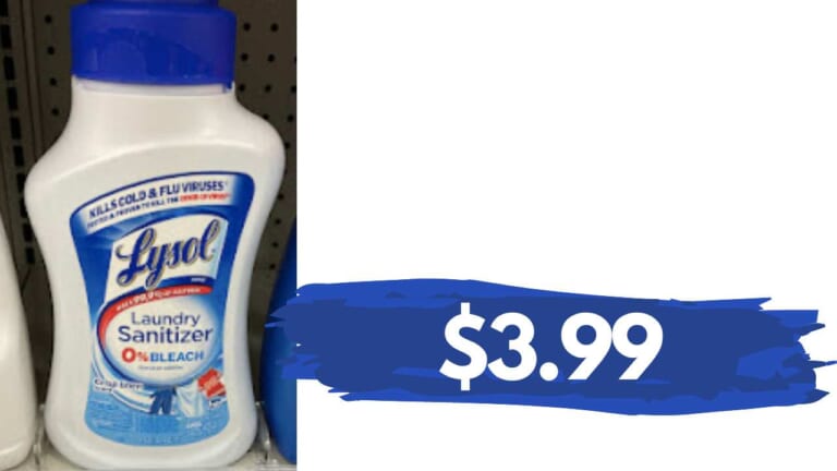 $3.99 Lysol Laundry Sanitizer at Publix