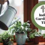 11 Indoor Gardening Tips