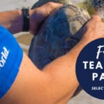 Free SeaWorld Pass For Teachers In Select States