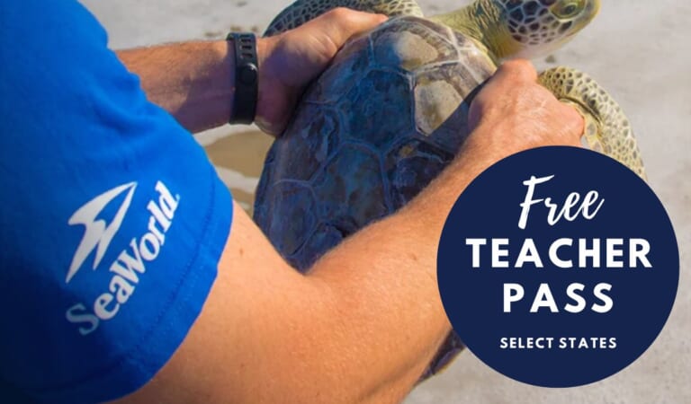 Free SeaWorld Pass For Teachers In Select States