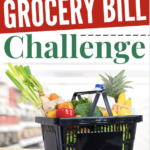 Cut Your Grocery Bill Challenge (Week 2)