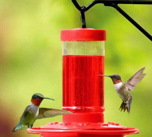 First Nature 16-Oz Hummingbird Feeder $4.18 (Reg. $8.23)