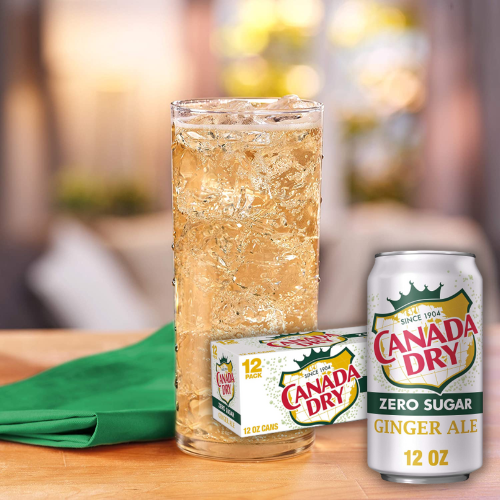 12-Pack Canada Dry Zero Sugar Ginger Ale Soda as low as $6.16 Shipped Free (Reg. $11.88) – 51¢/ 12 Fl Oz Can