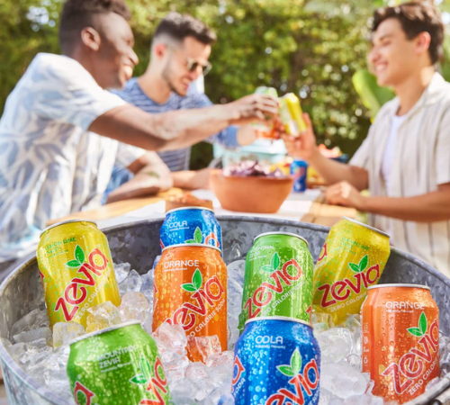 Zevia Zero Calorie Soda Rainbow Variety Pack as low as $12.90 Shipped Free (Reg. $31.30) – 54¢/ 12 Oz Can! Gluten-Free & Vegan!