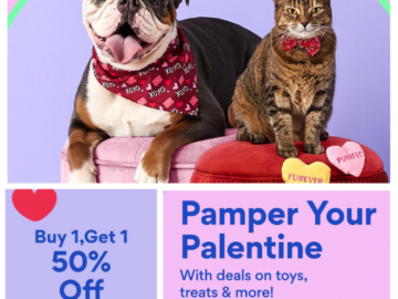 Chewy: Buy 1, Get 1 50% Off Select Valentine’s Day Products with Code