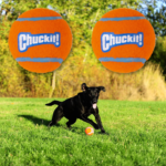 2-Pack ChuckIt! Large Tennis Ball Dog Toy as low as $2.69 Shipped Free (Reg. $10.86) – $1.35/Ball