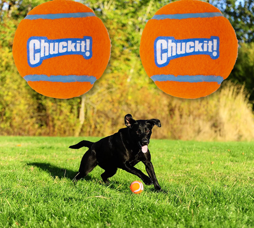 2-Pack ChuckIt! Large Tennis Ball Dog Toy as low as $2.69 Shipped Free (Reg. $10.86) – $1.35/Ball