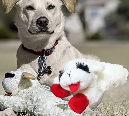 THREE Multipet Lambchop Plush Squeak Toys for Pets, 6-Inch $1.99 EACH (Reg. $6) – 53.6K+ FAB Ratings! + Get 3 for the price of 2