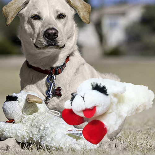 THREE Multipet Lambchop Plush Squeak Toys for Pets, 6-Inch $1.99 EACH (Reg. $6) – 53.6K+ FAB Ratings! + Get 3 for the price of 2