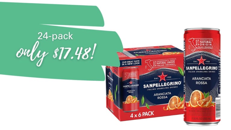 Sanpellegrino Italian Sparkling Drink 24-Pack $17.48