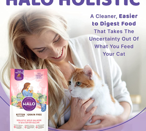 6-Pound Halo Grain Free Wild Salmon & Whitefish Kitten Dry Food as low as $7.04 After Coupon (Reg. $47) + Free Shipping – $1.17/Pound