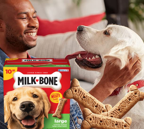 Milk-Bone 10-lbs  Original Dog Treats Biscuits $8.99 After Coupon (Reg. $15) + Free Shipping