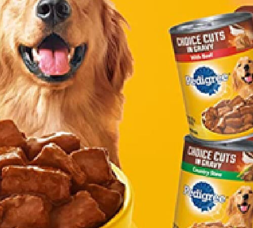 12-Ct  Pedigree Choice Cuts In Gravy Canned Wet Adult Dog Food, Variety Pack as low as $9.06 After Coupon (Reg. $17) + Free Shipping – $0.76/ 13.2-Oz Can