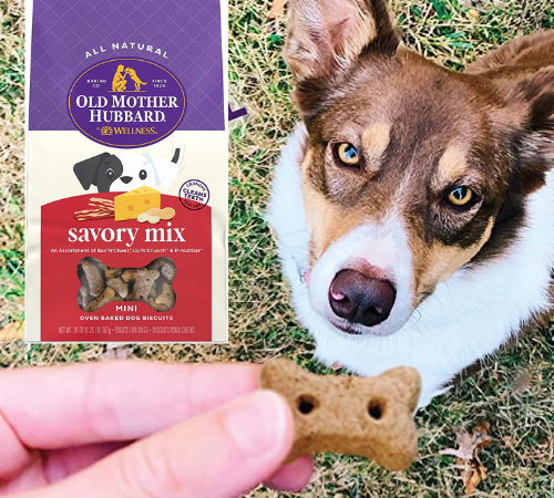 Old Mother Hubbard by Wellness Classic Savory Mix Natural Dog Treats, 20 oz as low as $3.28 After Coupon (Reg. $7) + Free Shipping!