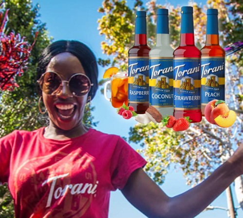 4-Count Torani Sugar Free Soda Flavors Variety Pack $31.48 Shipped Free (Reg. $41.07) – $7.87/ 25.4 Fl Oz Bottle – Kosher, Gluten Free, & Keto + MORE