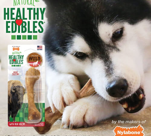 Nylabone Healthy Edibles Wild Dog All Natural Bone Bison Dog Treat (Giant) as low as $2.28 After Coupon (Reg. $6) + Free Shipping + 3-Pack Petite Bones for only $2.98 After Coupon