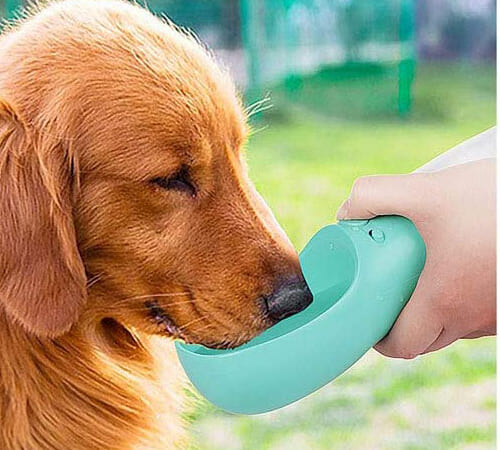 Portable Pet Water Bottle, 19-Oz, Mint Green $8.49 After Code (Reg. $20) – Dispenser for Outdoor – FAB Ratings!