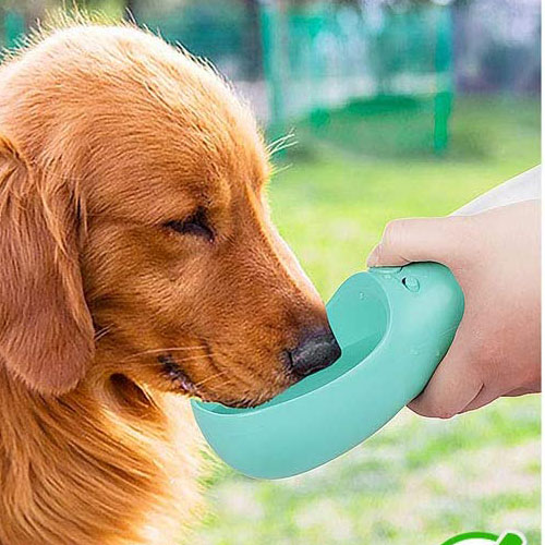 Portable Pet Water Bottle, 19-Oz, Mint Green $8.49 After Code (Reg. $20) – Dispenser for Outdoor – FAB Ratings!