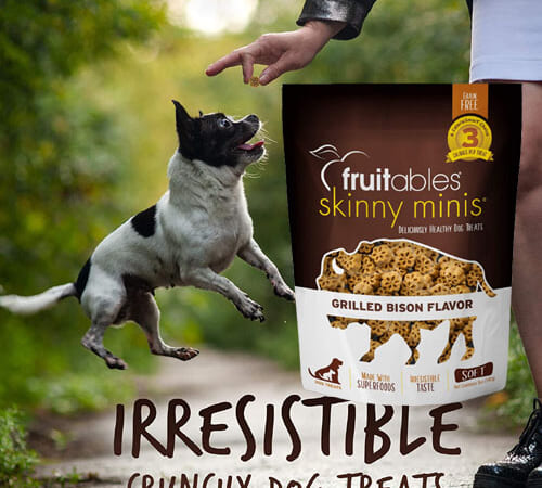 Fruitables Skinny Minis Dog Treats, 5-Oz (Grilled Bison) as low as $4.04 Shipped Free (Reg. $7.49) – FAB Ratings!