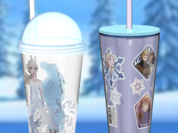 2-Piece Zak Designs Disney Frozen II Movie Tumbler Set $8.17 (Reg. $27.99)