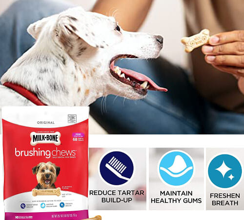 48-Count Milk-Bone Daily Brushing Dental Dog Chew Mini Treats as low as $5.35 Shipped Free (Reg. $13.49) – $0.11 Each