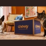 Chewy | $20 Off $49+ Purchase With Code