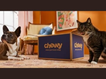 Chewy | $20 Off $49+ Purchase With Code