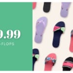 $19.99 Flip-Flops From Brands You Love