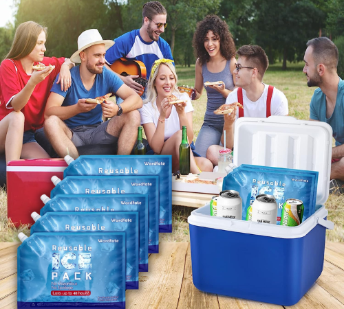 5-Count Large Reusable Ice Pack for Cooler Lunch Bags $8.99 After Code + Coupon (Reg. $20) – $1.80/Ice Pack