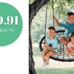 Sam’s Club Webbed Tree Swing $40 (reg. $65)