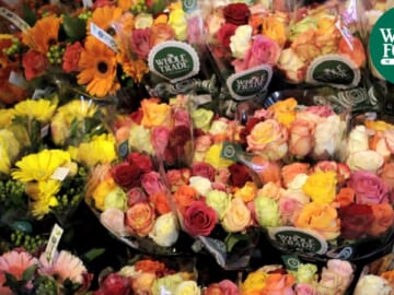 Two Dozen Roses for $24.99 at Whole Foods!