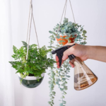 3-Pack Hanging Planters for Indoor $13.99 After Code (Reg. $27.99) + Free Shipping – $4.66/Pot