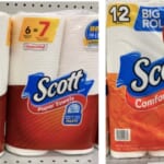 Get Scott Bath Tissue & Paper Towels for $2.75 at Walgreens