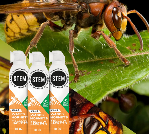 3-Pack STEM Botanical Spray for Wasps, Hornets, & Yellow Jackets as low as $10.71 Shipped Free (Reg. $20.49) – $3.57/ 10 Oz Spray Bottle