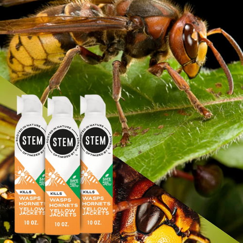 3-Pack STEM Botanical Spray for Wasps, Hornets, & Yellow Jackets as low as $10.71 Shipped Free (Reg. $20.49) – $3.57/ 10 Oz Spray Bottle