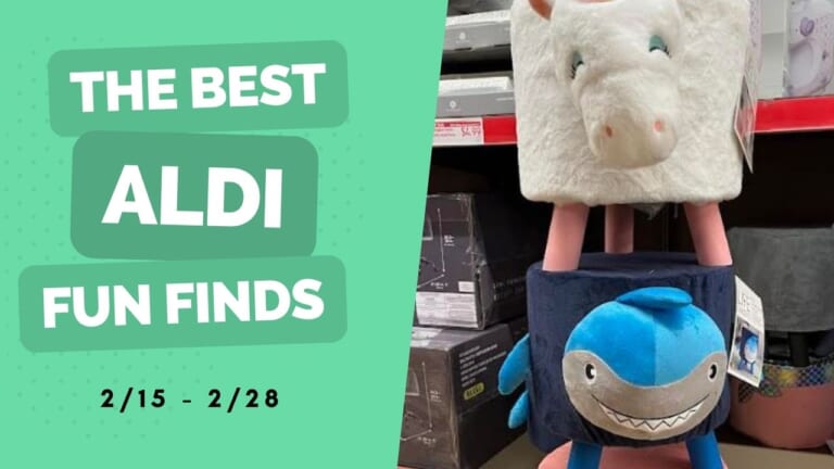 Aldi Fun Finds | Kids’ Room Decor from $9.99 + More