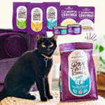 Save 30% on Stella & Chewy’s Cat Foods as low as $9.74 After Coupon (Reg. $15) + Free Shipping