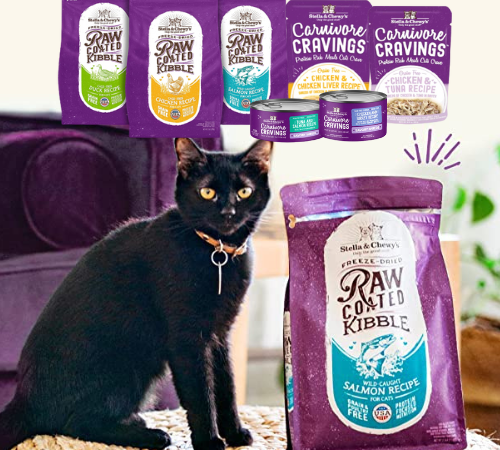 Save 30% on Stella & Chewy’s Cat Foods as low as $9.74 After Coupon (Reg. $15) + Free Shipping