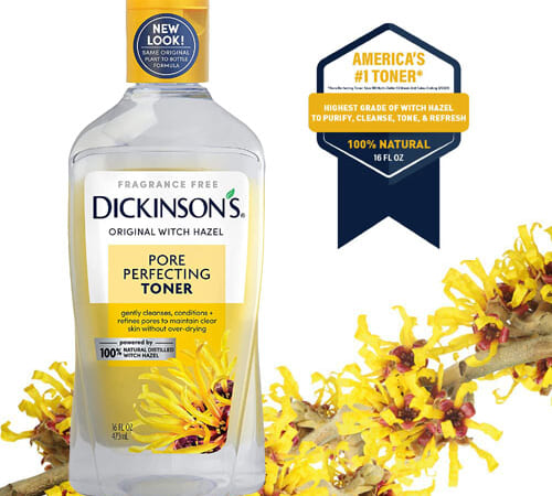 FOUR 16-Oz Dickinson’s Original Witch Hazel Pore Perfecting Toner as low as $2.79 EACH After Coupon (Reg. $8) + Free Shipping + Buy 4, save 5%