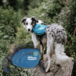 Outward Hound DayPak Large Dog Saddleback Backpack $16.24 (Reg. $44.99) – LOWEST PRICE