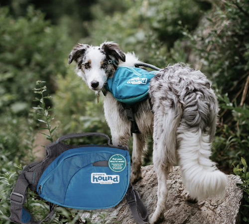 Outward Hound DayPak Large Dog Saddleback Backpack $16.24 (Reg. $44.99) – LOWEST PRICE