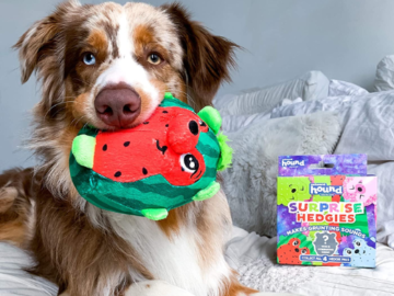 Outward Hound Surprise Hedgies Dog Toys as low as $5.23 Shipped Free (Reg. $7.69) + MORE